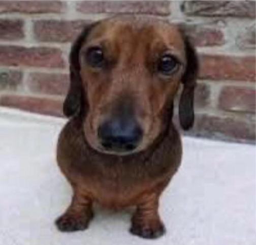 Idgitbhh's tweet image. 