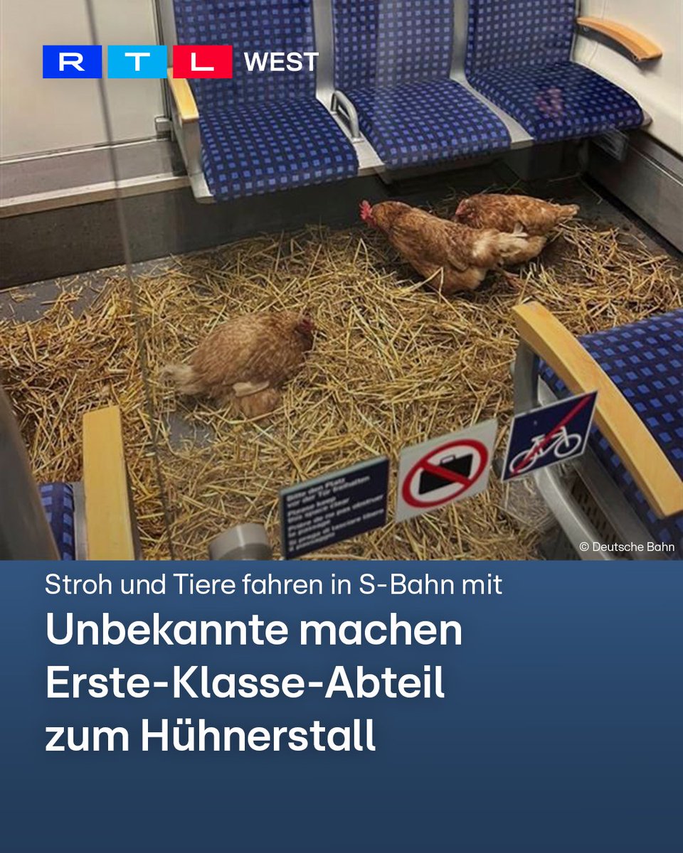 RTL WEST tweet media