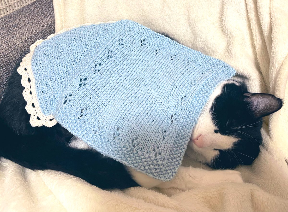 ももみうち (@mochiii730) / Posts / X