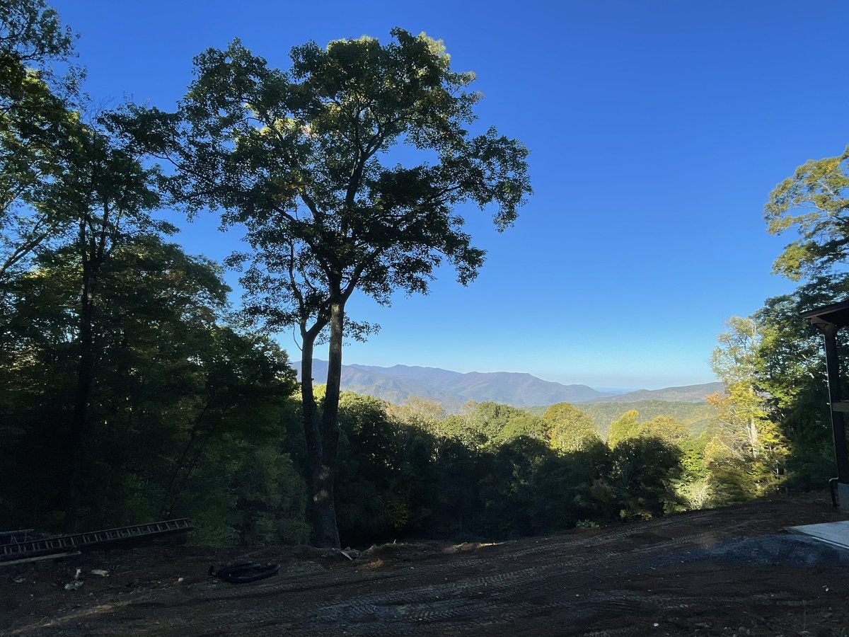 ChefBoyLD's tweet image. 