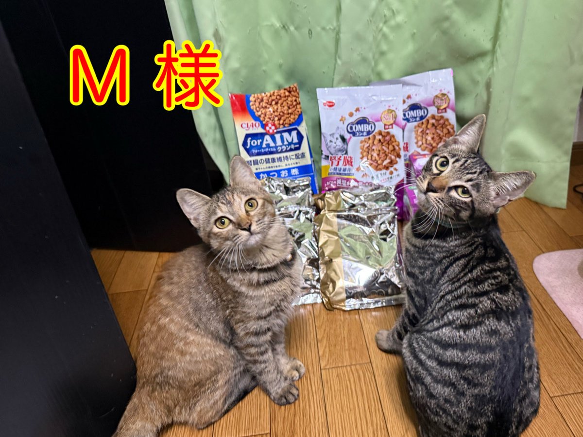 kokoichiban2's tweet photo. ご支援のお礼😊

4ヶ月〜14歳まで
みんなが食べるご飯をありがとうございます
今年になって、5ニャンズが仲間入りして大変だったので凄く助かっています🙏

先月保護したアサヒマ兄妹は、毎日体重が増加傾向で順調に育っています😺😻

#皆様に感謝
#15ニャンズ https://t.co/zcF9KTSstc
