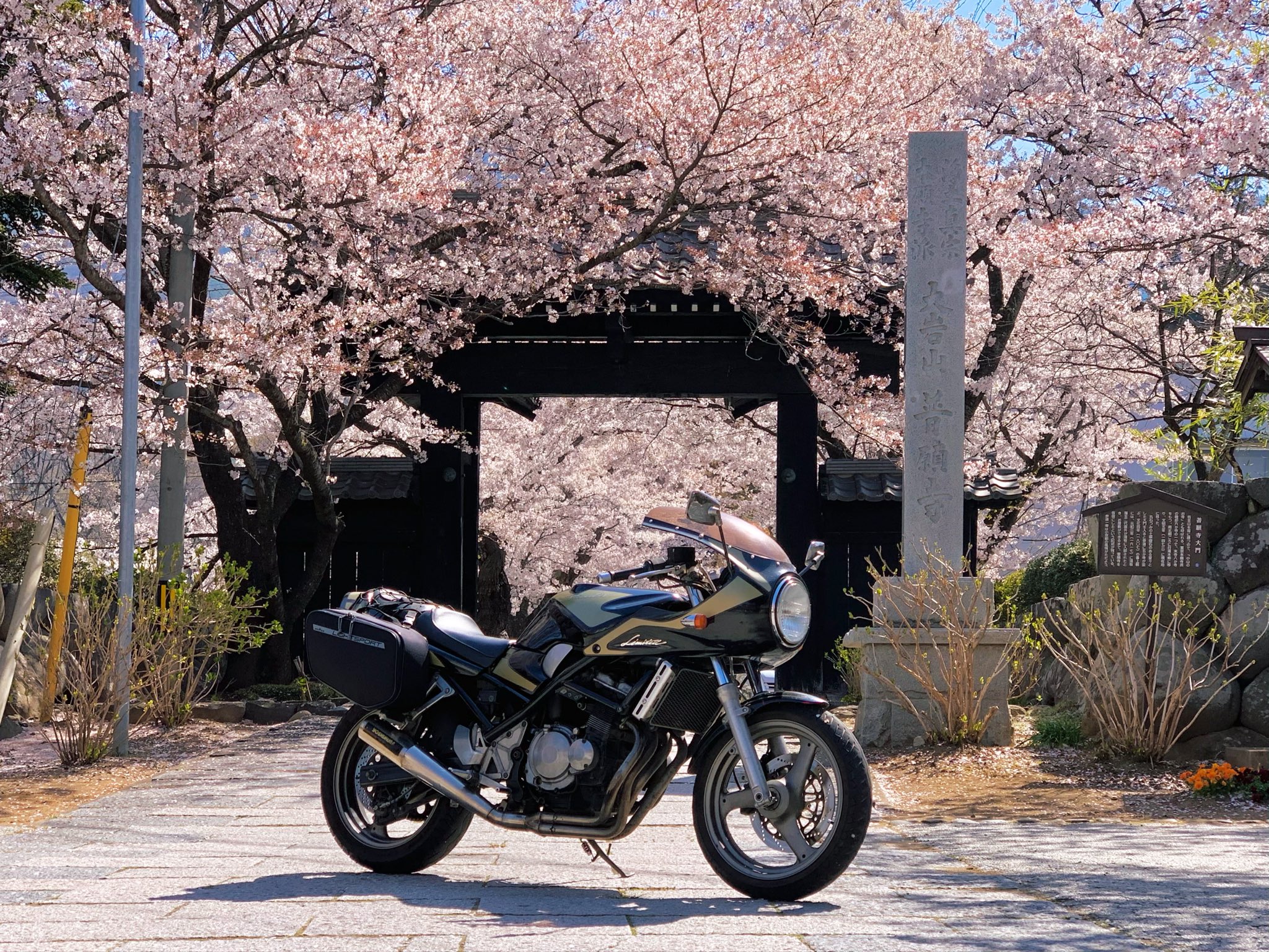 X(旧Twitter)より【ぴあり】 🐏風間 日🧶 on X: 