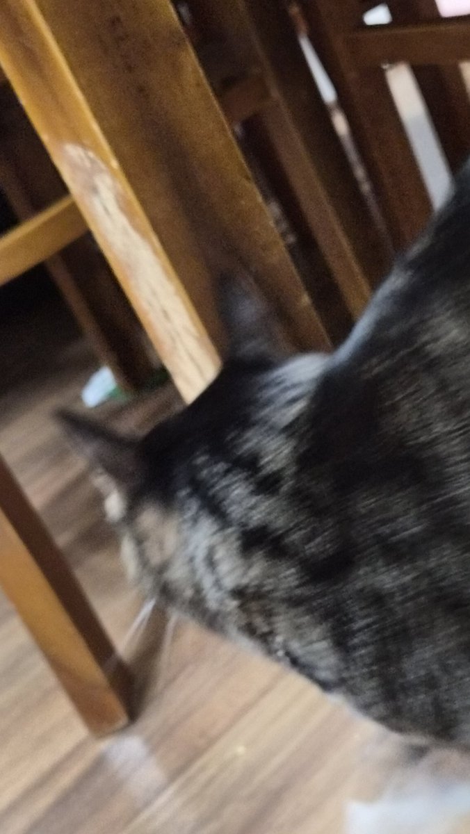 엉례 (@o_wong_sol) on Twitter photo 