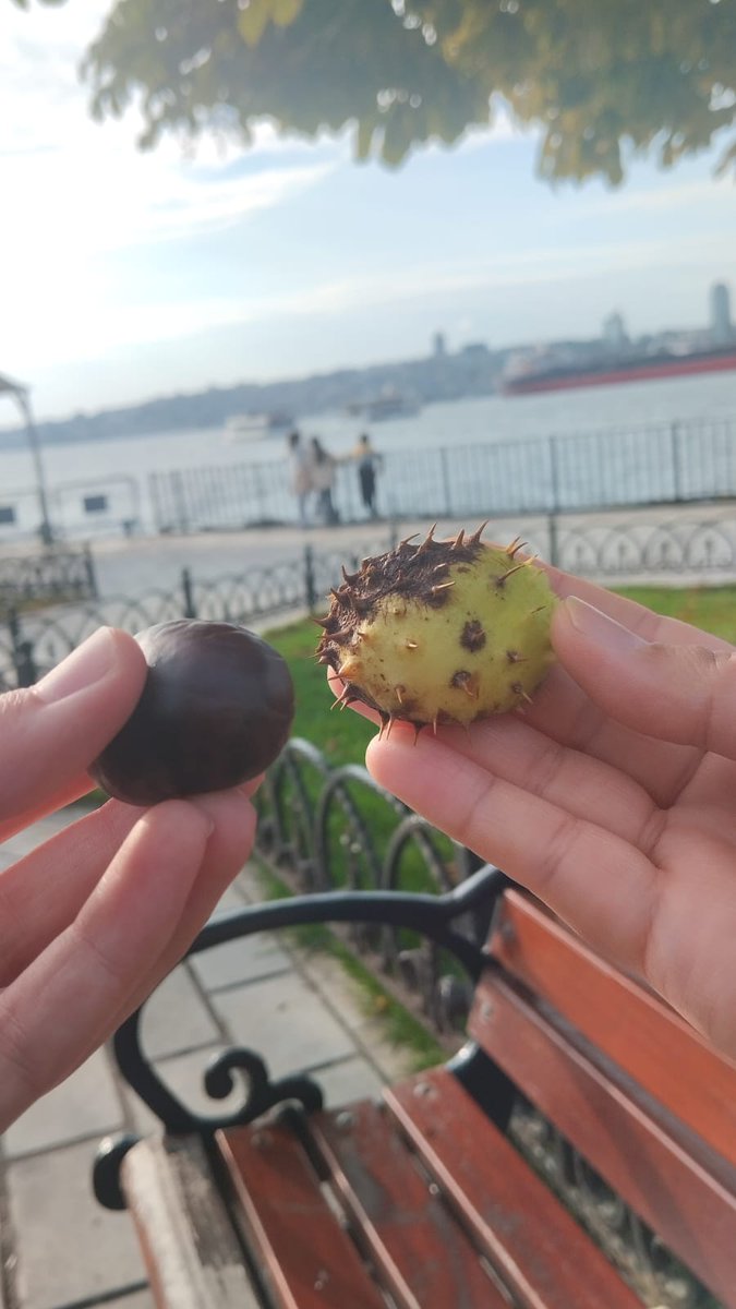 gerçek arkadaş meyveyi kendi alır kabuğu arkadaşa verir. kabuk bende:) 
@rmeysasky