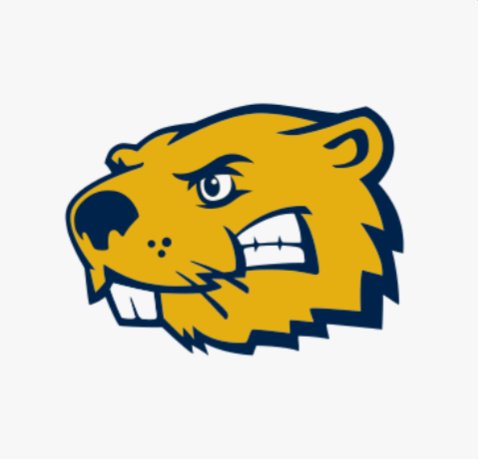 Taydyn Perry tweet media