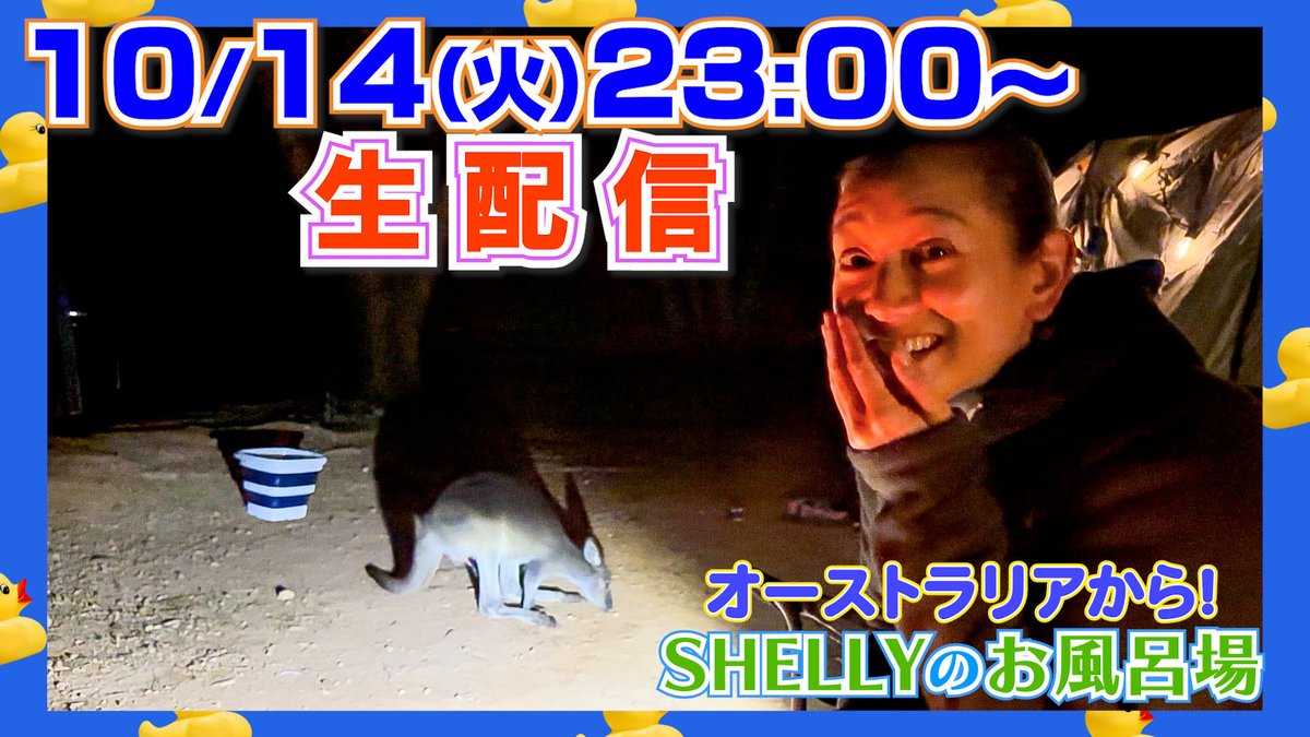 shellysproject's tweet image. この後生配信するよ！
遅い時間だけど夜更かしできるならきてきて！！

youtube.com/live/Dm5fRewKf…
