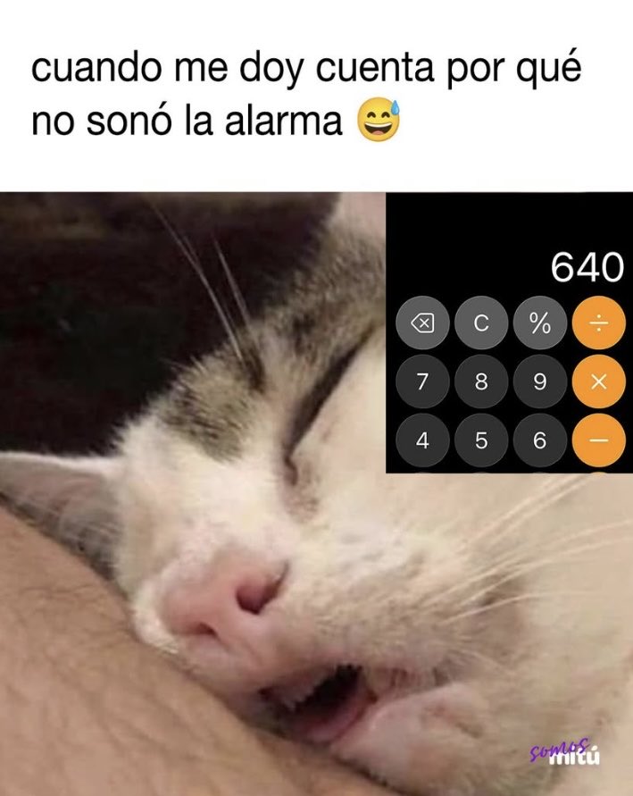 (((ÁlexIndy))) 🏴‍☠️ (@indyelindio) on Twitter photo 