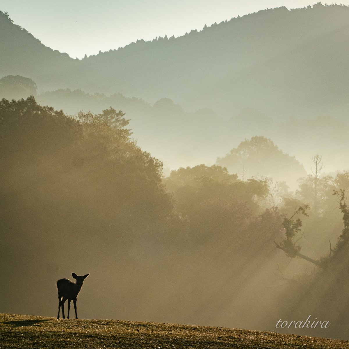 #初見で恋に落ちる作品ってあるよね
誰かのそんな一枚になれたら良いよね