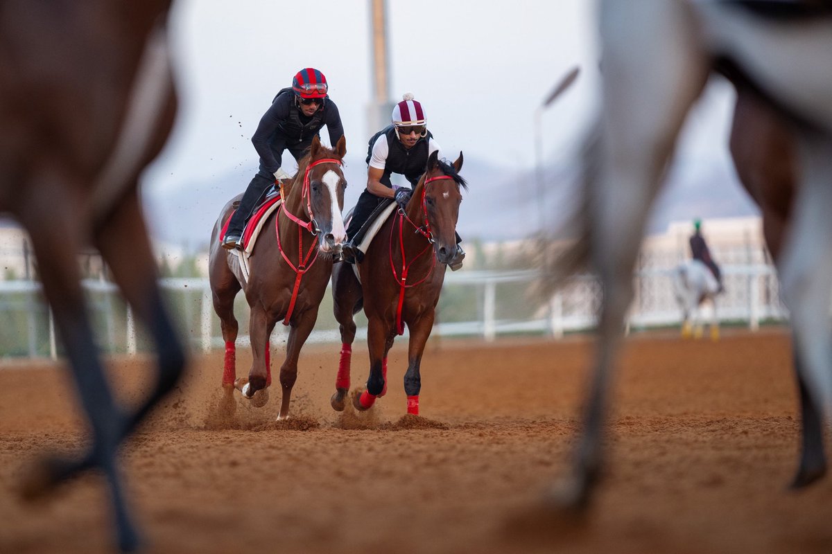 مطالبات عديدة من لدن ملاك الخيل الذين يتواجدون من عدة ميادين في رماح
يطالبون فيها نادي سباقات الخيل بتواجد خبراء أختبار جهاز الاسترد؟
لتسهيل مهمتهم مقارنة بارسالها للميدان الرئيسي وصعوبة ذلك؟
ونظراً لتواجد العديد من المهور في رماح🐎