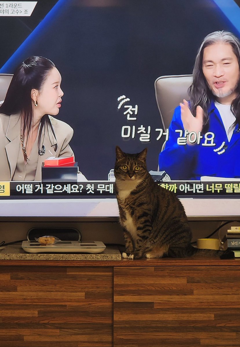 좀 비켜줄래? 
안 보여서 내가 미칠 거 같은데?
ㅡㅜ