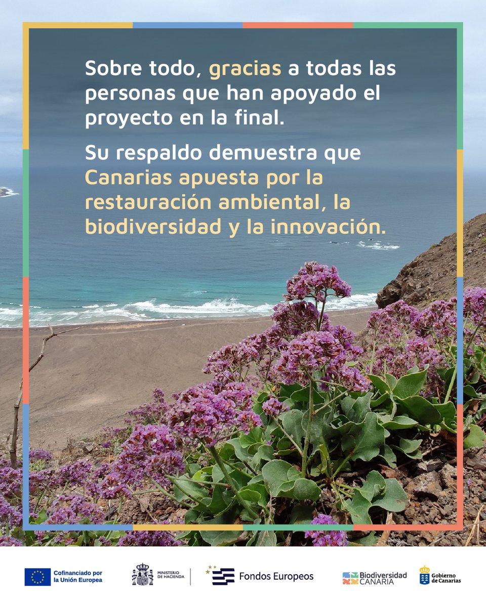 Biodiv_GobCan's tweet image. Queremos dar las gracias de corazón a todas las instituciones y personas que han colaborado con el Gobierno de Canarias en la realización del proyecto de restauración de las cumbres de Famara y que nos han acompañado hasta la final del Concurso. 🧵⬇️