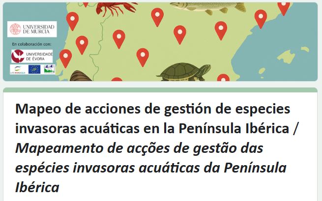 ¿Trabajas o estudias en gestión de especies invasoras acuáticas? 📍🗺️🌱🐟Queremos conocer vuestras acciones para crear un mapa territorial en la Península Ibérica. Disponible en 🇪🇸🇵🇹 
Toda la información🧐👇
forms.gle/46UbuUTwVqLHNE…