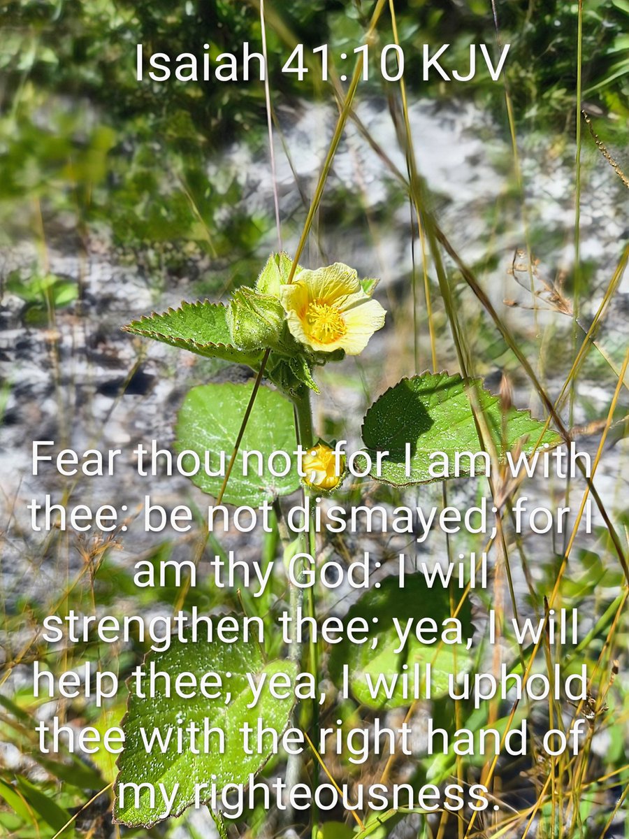 Good morning
Today, let's demonstrate God's love &amp; spread positivity!
We are ready &amp; able to face any situation. Taking action despite our fears. Knowing our needs are met with his promises. We have the confidence in our Lord's abundant grace.
How great he is!
Have a great day 🕊️