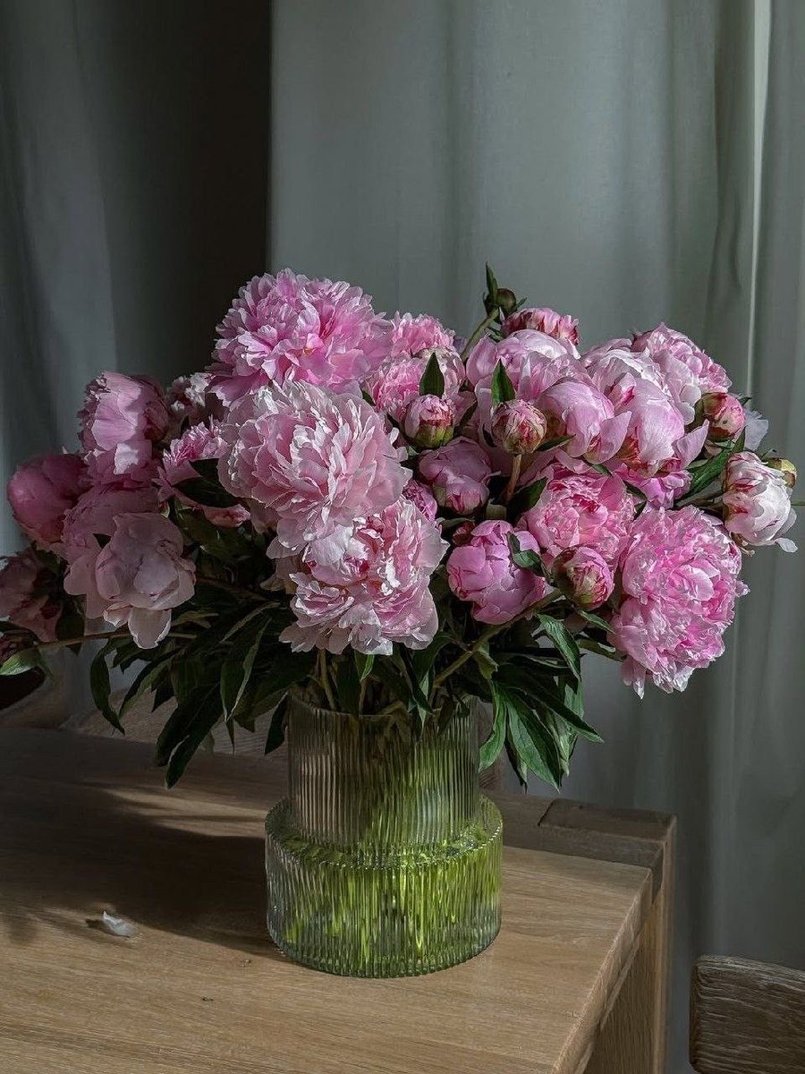 i3Moment's tweet photo. Peonies https://t.co/xgKCbZpjCc