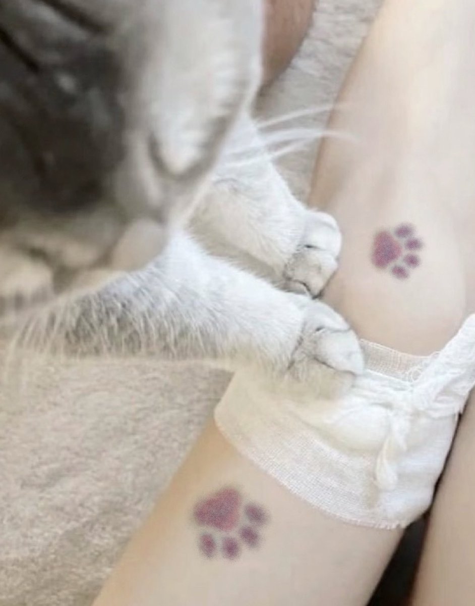 kitty (@tinygjrl) on Twitter photo 