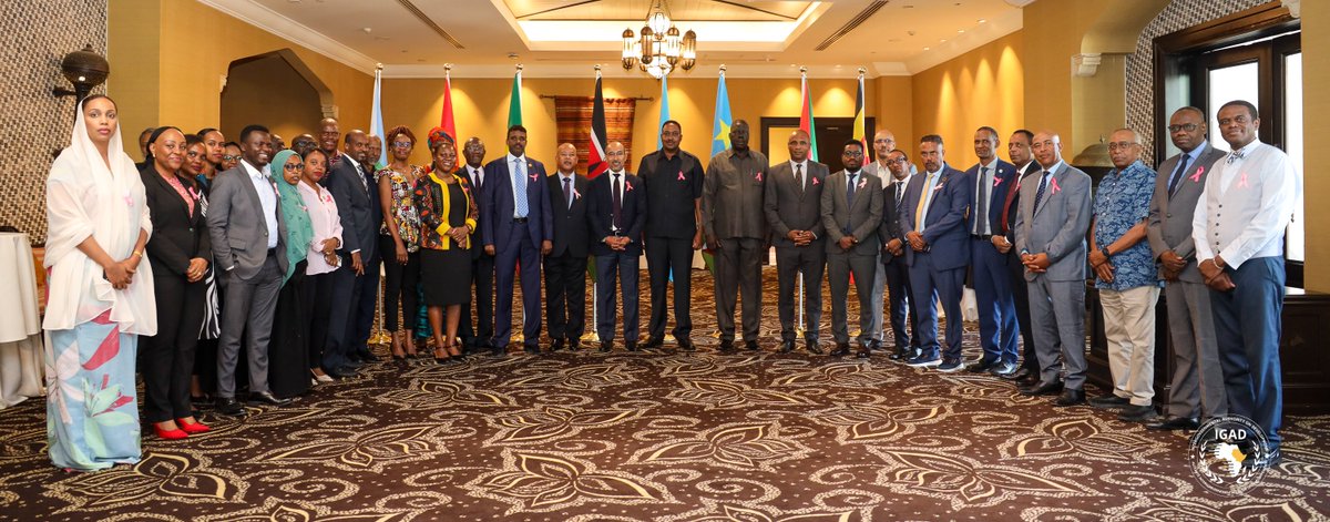 IGAD Committee of Ambassadors Meets on Regional Priorities

The IGAD Committee of Ambassadors convened today to deliberate on key regional priorities advancing peace, security, and resilience across the Horn of Africa.

The meeting reaffirmed Member States’ commitment to regional