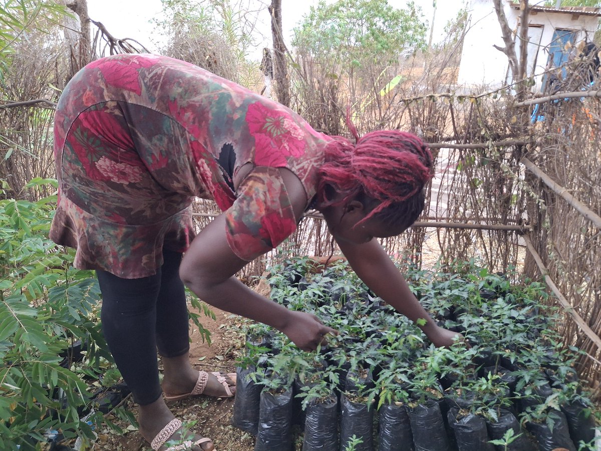 NCCK Nature Positive Food Systems tweet media