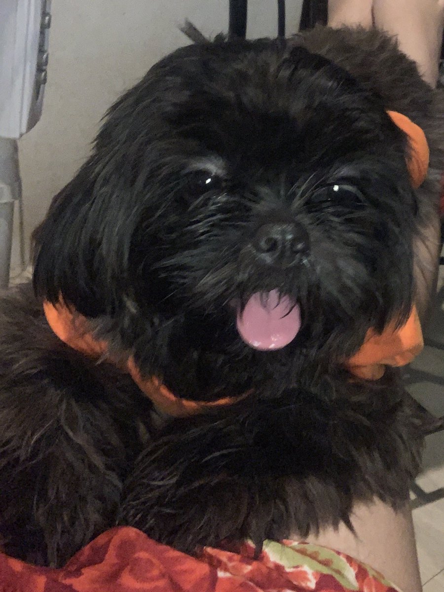 lilypad's tweet photo. https://t.co/176JX6UD9H