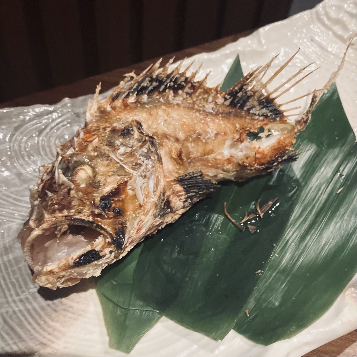 yokoyk_c's tweet image. カサゴうまあ！
個室なので堂々と撮った
