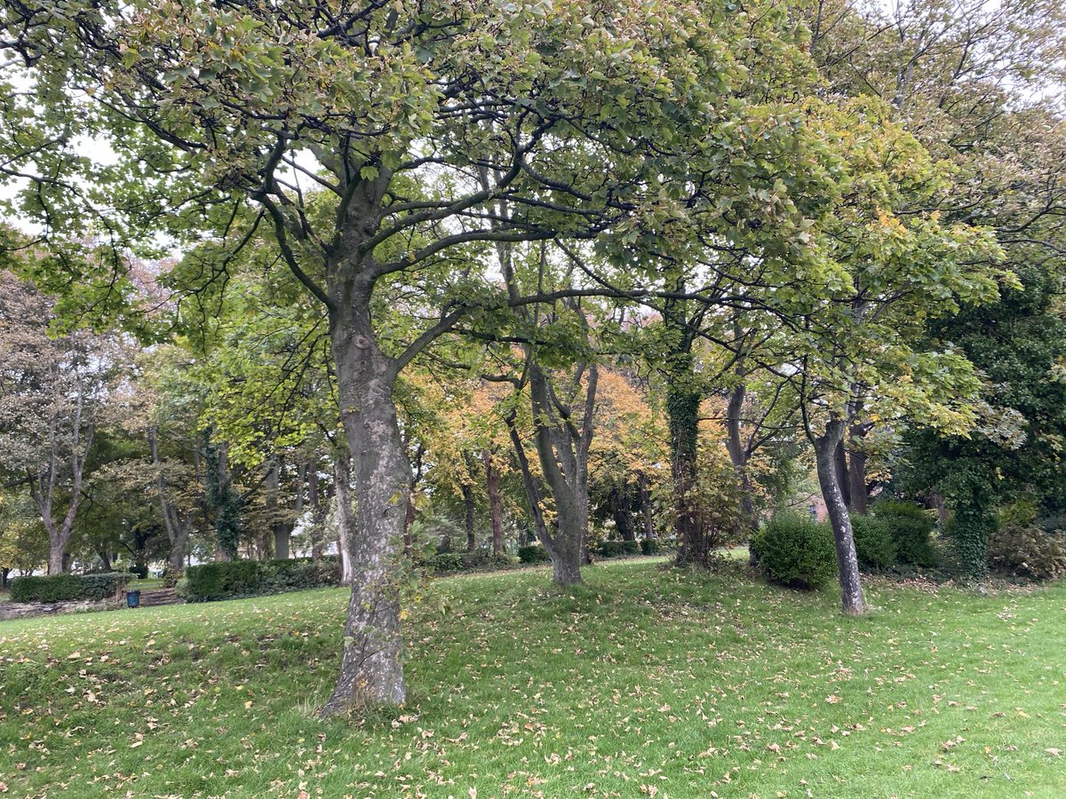 Hatton Hill park looking good today. Also up on Field Lane meeting with Council Highways Dept looking a further traffic calming measures. ⁦<a href="/CllrIanMoncur/">Cllr Ian Moncur</a>⁩ ⁦<a href="/Paulett54122148/">Paulette Lappin</a>⁩ ⁦<a href="/seftoncouncil/">Sefton Council</a>⁩