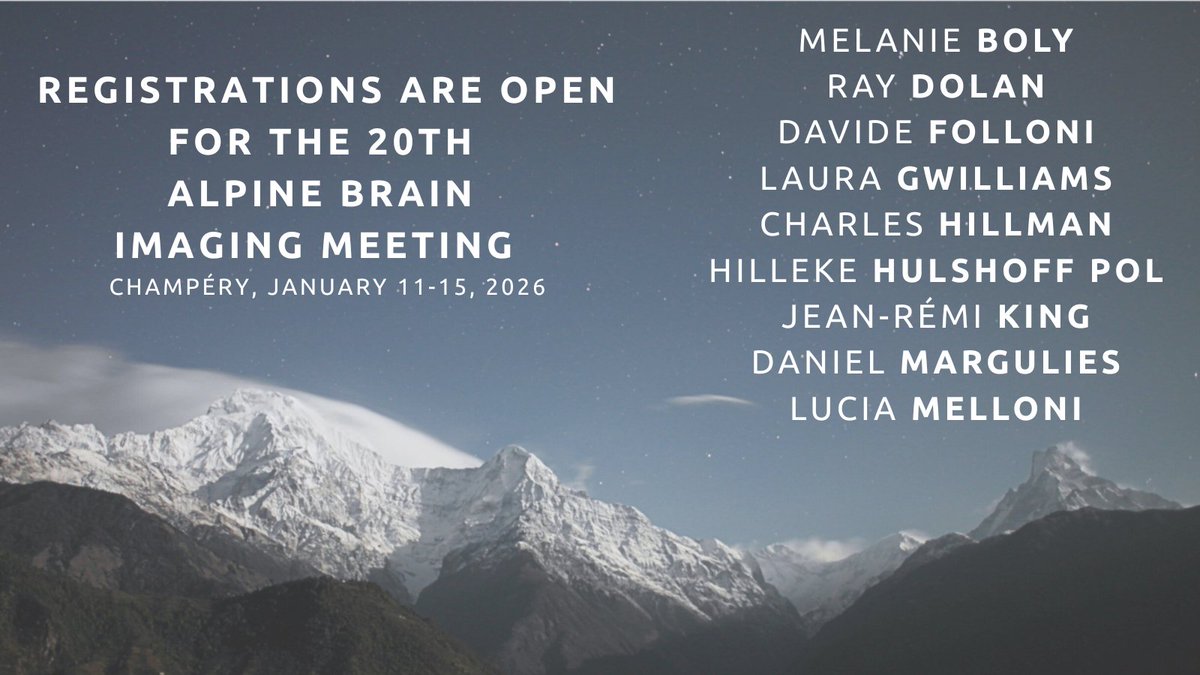 Alpine Brain Imaging Meeting tweet media