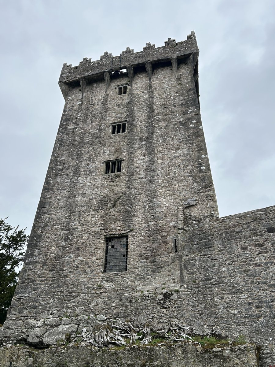Time for <a href="/vianneygriffins/">Vianney Griffins</a> to kiss the Blarney Stone! #globalgriffins