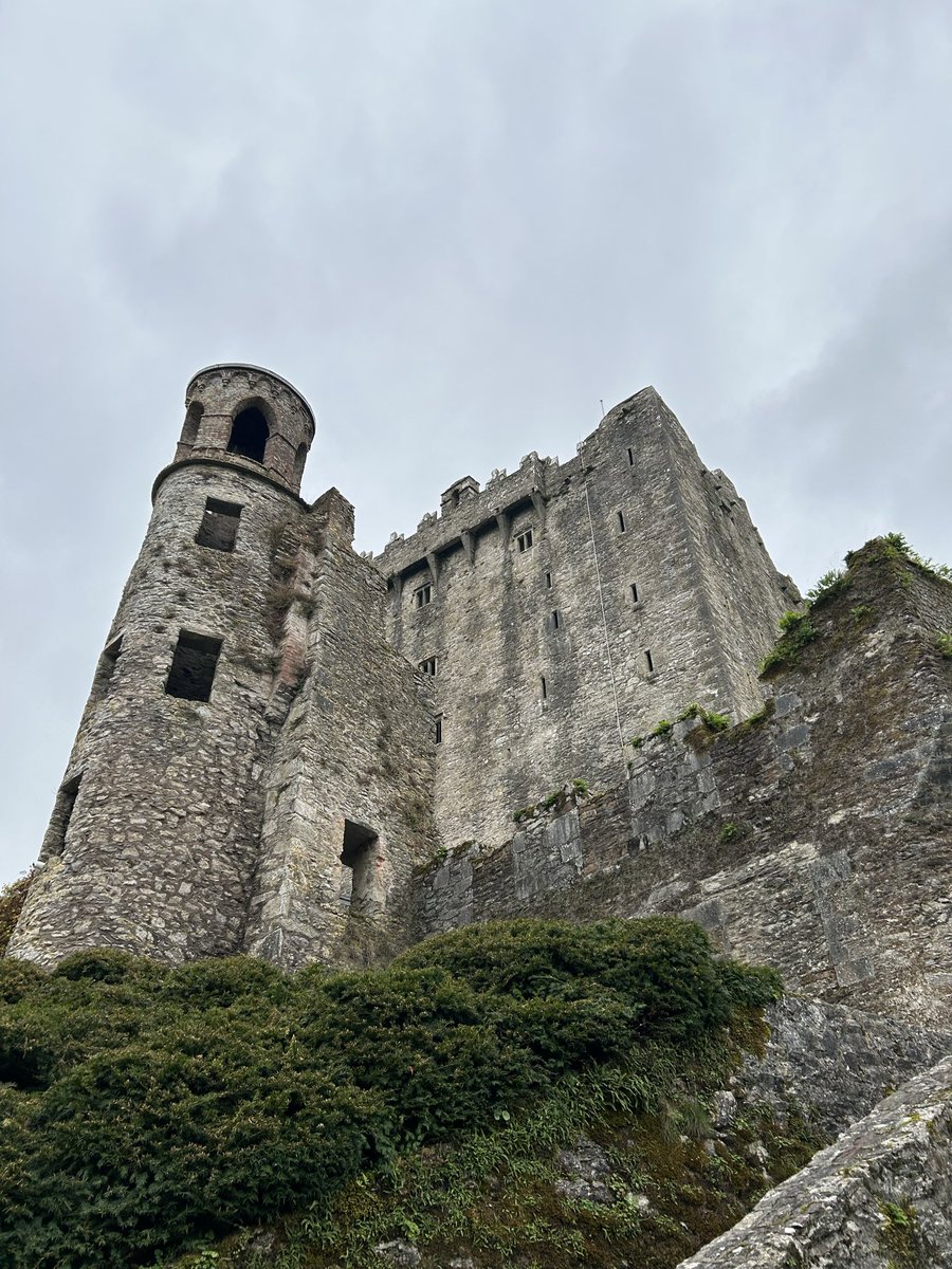 Nate Stein tweet media