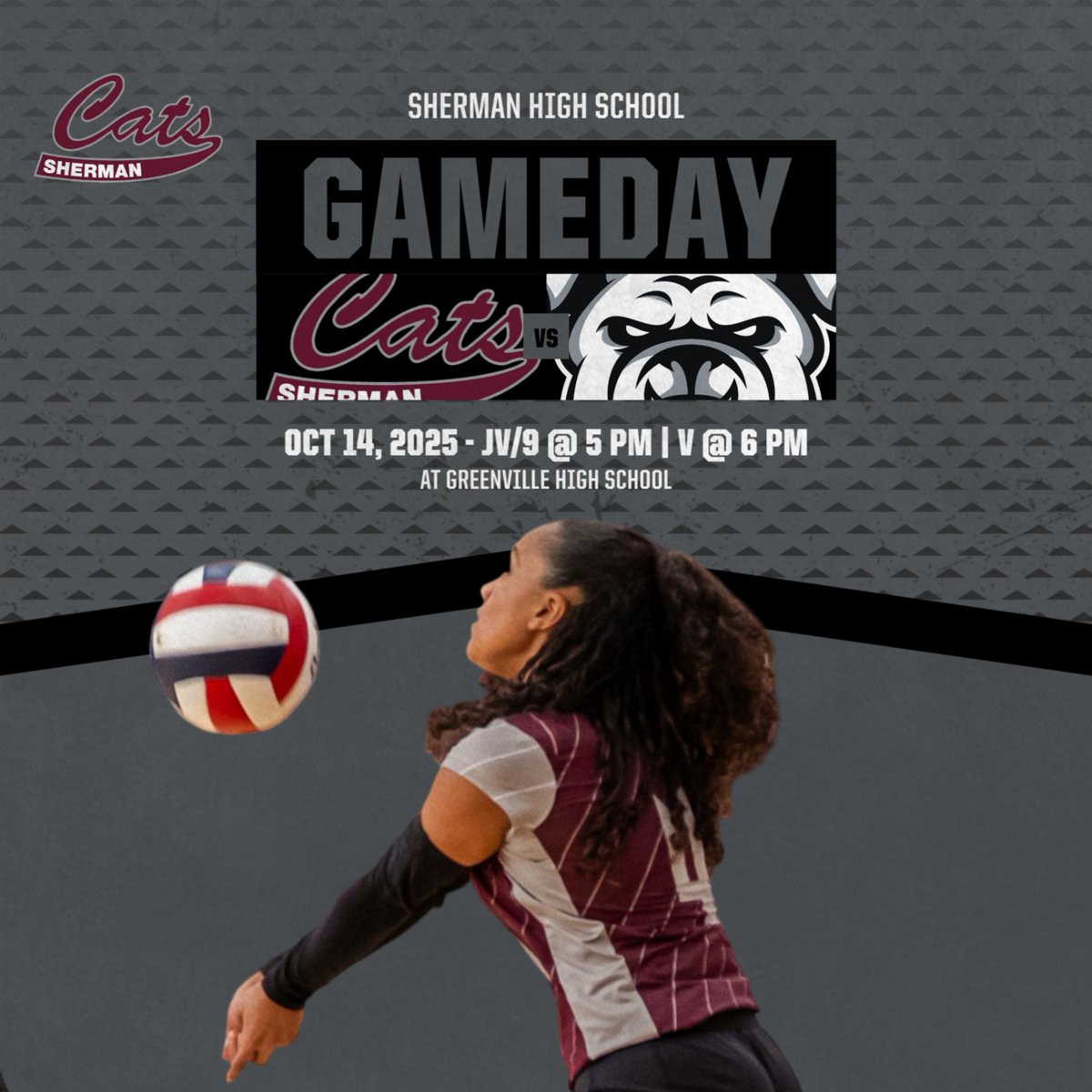 Sherman Lady Cat Volleyball tweet media
