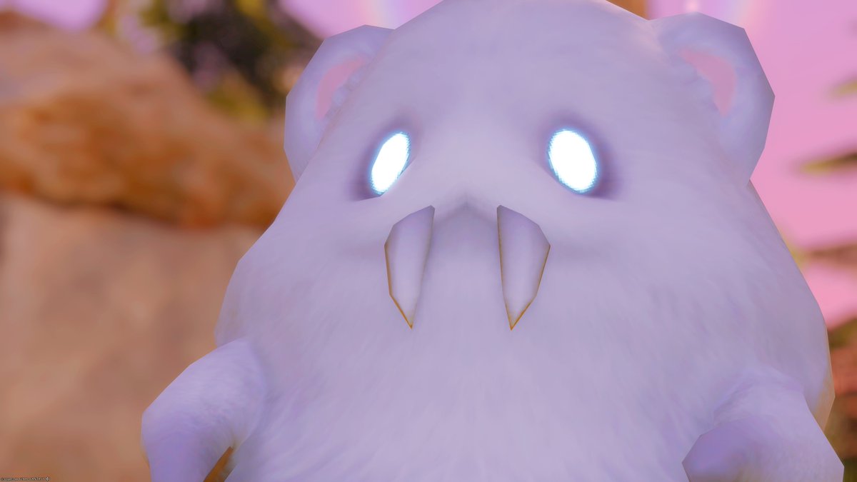 色んなみんなありがとう😭😭😭