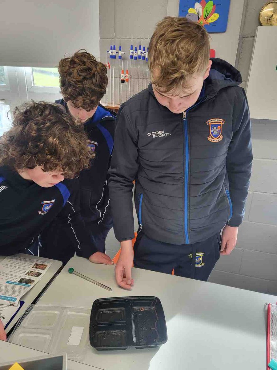 CIK's TY Ag Science class were lucky enough to be selected to participate in Teagasc's GrouthTruth citizen Science project on soil health. Students conducted a FIT count, Earthworm count and GrassVESS on our school's soil.