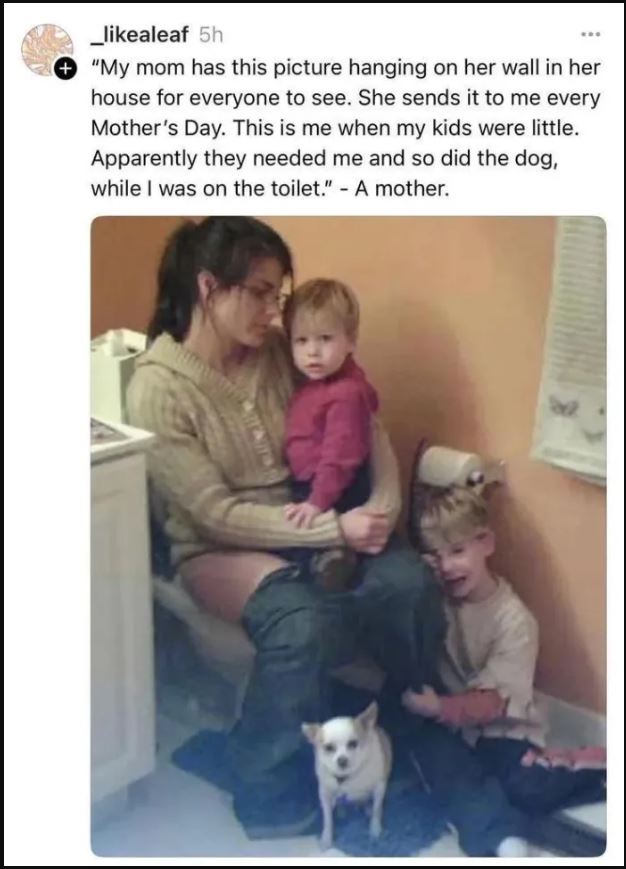 Family picture 🚽

#chainsawman 
#チェンソーマン 
#aki
#power
#denji 
#meowy