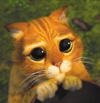 표정모야ㅠㅠㅠㅠㅠㅠ