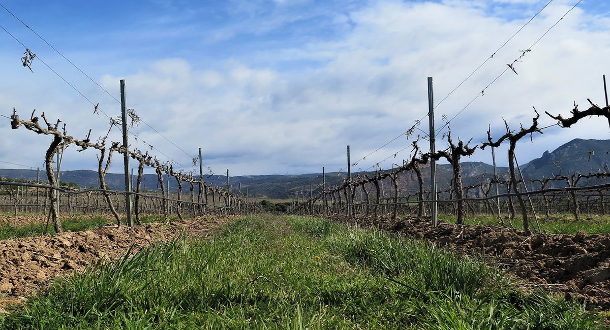 🚜🎙️📻  𝗔𝗽𝗿𝗼𝗯𝗮𝗱𝗼𝘀 𝗰𝗮𝗺𝗯𝗶𝗼𝘀 𝗲𝗻 𝗹𝗮 𝗣𝗔𝗖 𝘀𝗼𝗯𝗿𝗲 𝗲𝗰𝗼𝗿𝗿𝗲𝗴𝗶́𝗺𝗲𝗻𝗲𝘀, 𝗰𝗲𝘀𝗶𝗼𝗻𝗲𝘀 𝗱𝗲 𝗱𝗲𝗿𝗲𝗰𝗵𝗼𝘀, 𝗱𝗶𝘀𝗽𝗼𝗻𝗶𝗯𝗶𝗹𝗶𝗱𝗮𝗱 𝗱𝗲 𝗽𝗮𝗿𝗰𝗲𝗹𝗮𝘀 𝘆 𝗽𝗹𝗮𝘇𝗼𝘀.
📻  Nos lo han contado hoy en ❜𝗗𝗲 𝗽𝘂𝗲𝗿𝘁𝗮𝘀 𝗮𝗹 𝗰𝗮𝗺𝗽𝗼❜