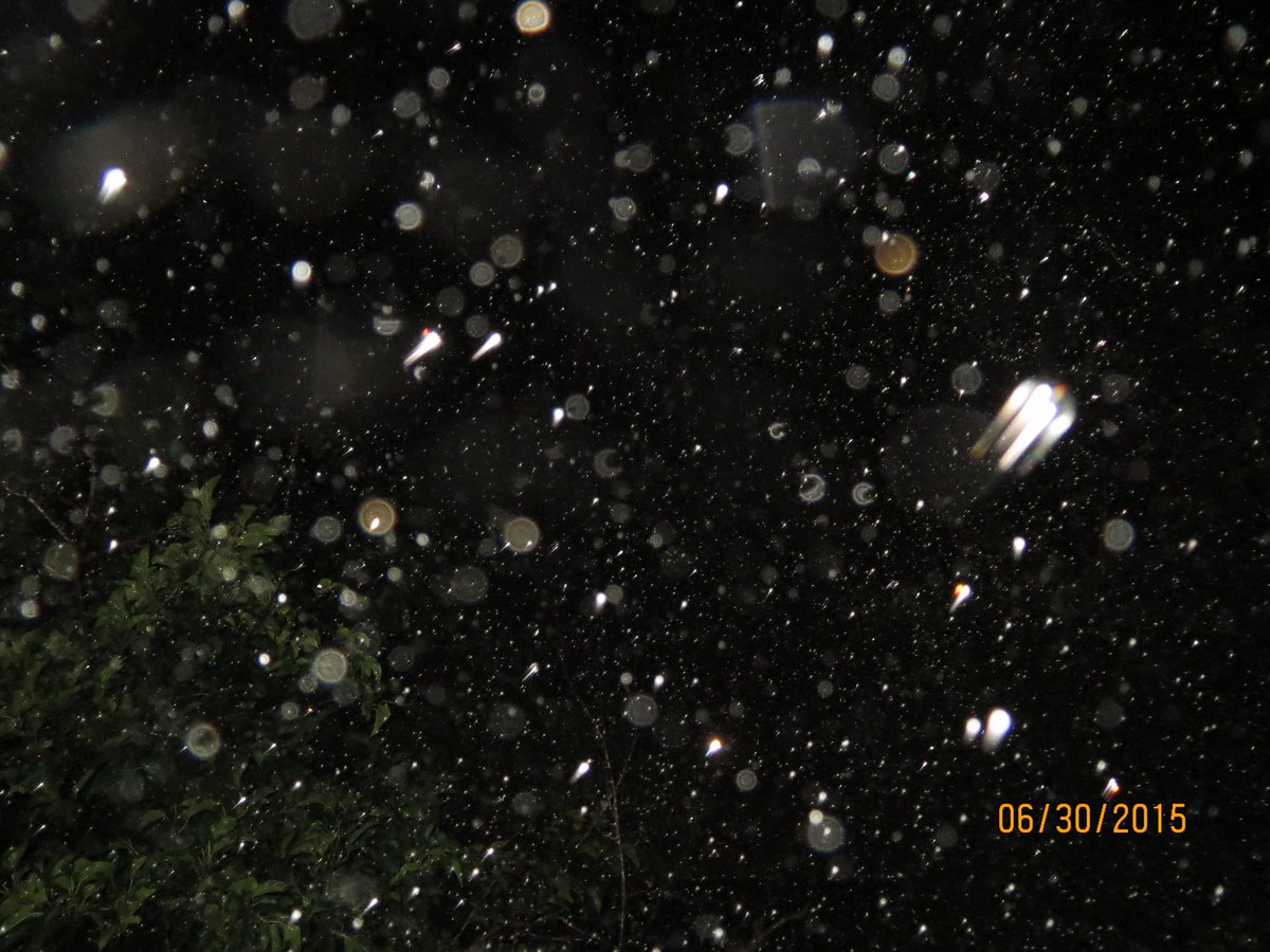 Dorine Mcdow (@dorinesez) on Twitter photo 