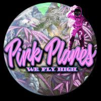 Pink Planes tweet media