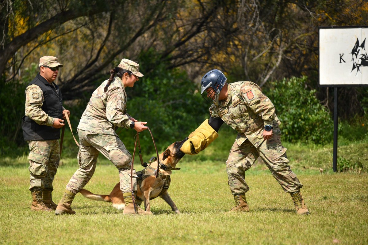 𝐄𝐟𝐞𝐜𝐭𝐢𝐯𝐨𝐬 𝐝𝐞 𝐥𝐚 𝐕𝐈 𝐃𝐢𝐯𝐢𝐬𝐢𝐨́𝐧 𝐝𝐞𝐥 𝐄𝐣𝐞́𝐫𝐜𝐢𝐭𝐨 𝐬𝐞 𝐜𝐚𝐩𝐚𝐜𝐢𝐭𝐚𝐧 𝐜𝐨𝐦𝐨 𝐠𝐮𝐢́𝐚𝐬 𝐜𝐚𝐧𝐢𝐧𝐨𝐬 𝐩𝐚𝐫𝐚 𝐫𝐞𝐟𝐨𝐫𝐳𝐚𝐫 𝐥𝐚 𝐬𝐞𝐠𝐮𝐫𝐢𝐝𝐚𝐝 𝐞𝐧 𝐥𝐚 𝐟𝐫𝐨𝐧𝐭𝐞𝐫𝐚 𝐧𝐨𝐫𝐭𝐞.
Nota web👉 f.mtr.cool/amasoqsmic
Entérate sobre cómo