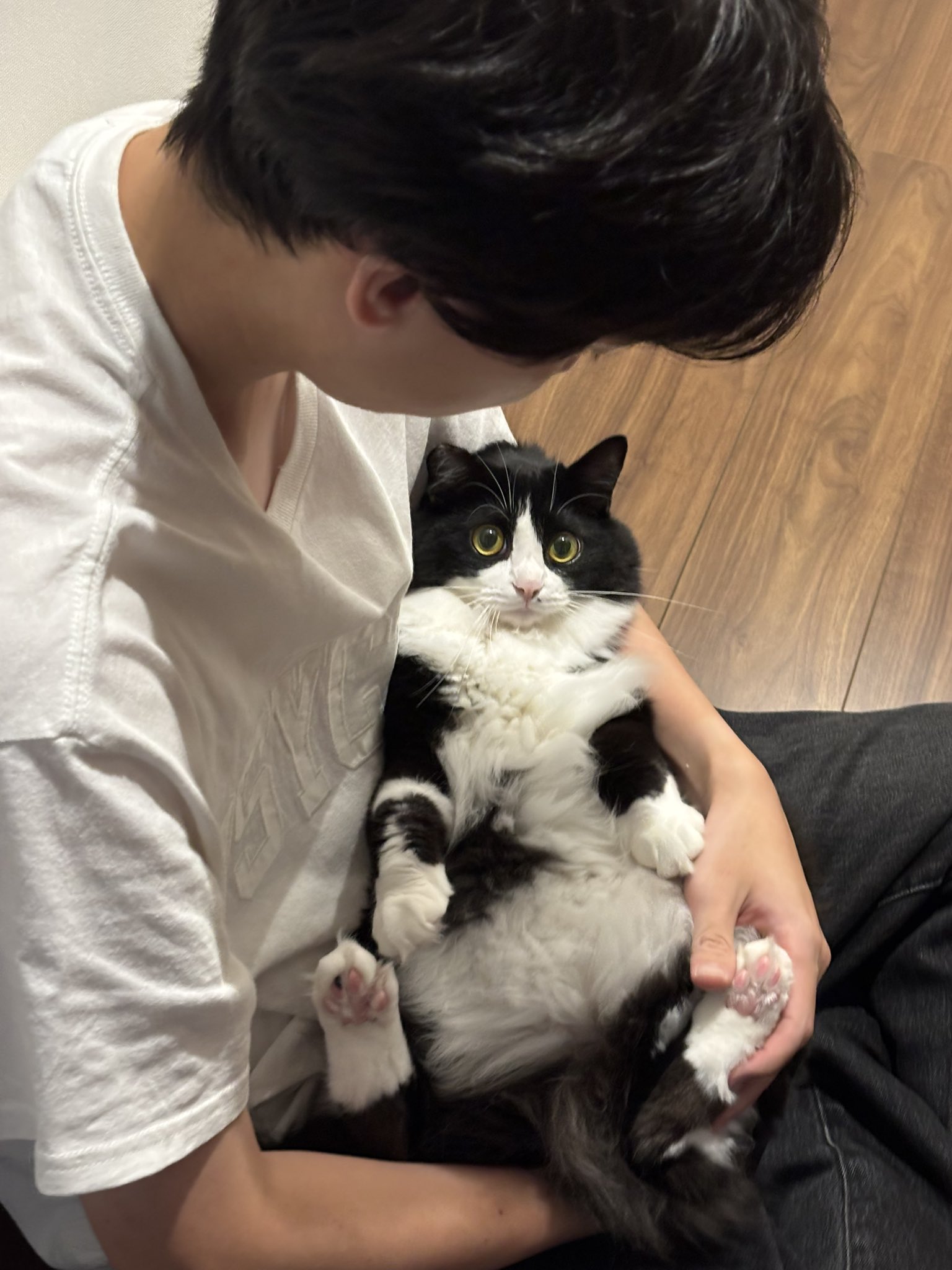 即購入歓迎⑅︎◡̈︎* Z/Xを予約してPRカードをもらおう！キャンペーン アイドル