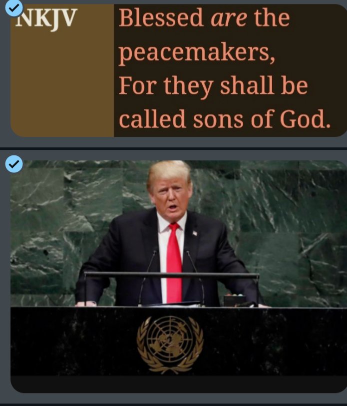 downsj's tweet image. Trump at the UN announcing that October 7th hostages have come home. I voted for this!