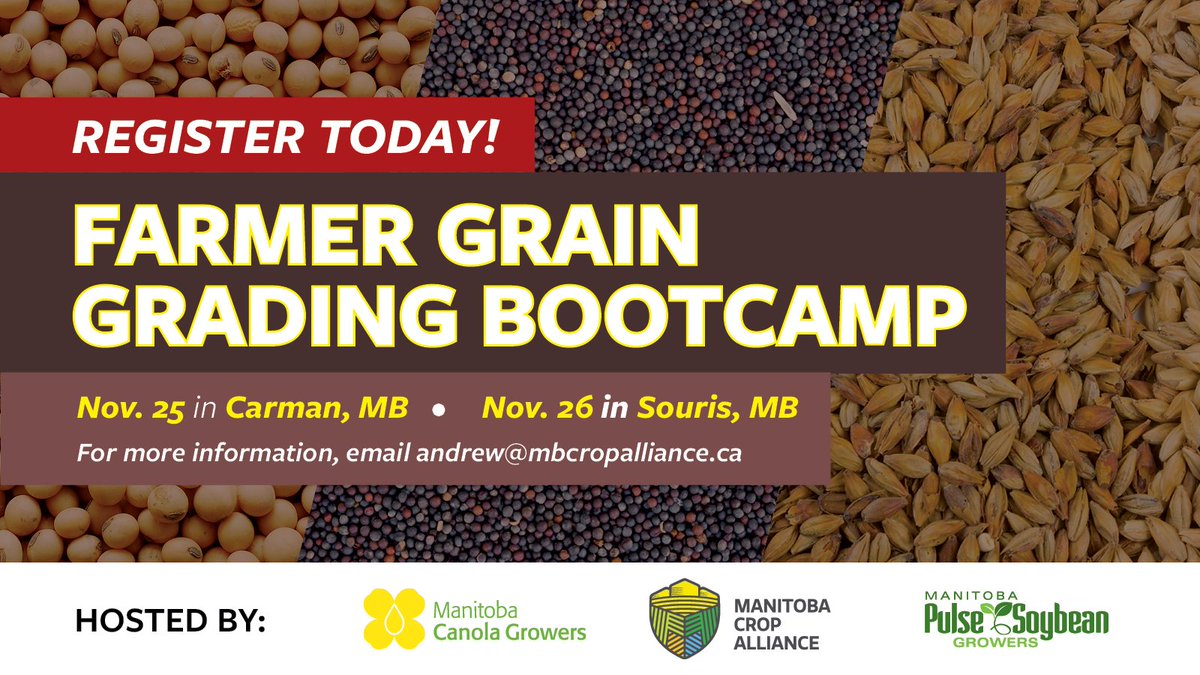 Broaden your knowledge of grain grading at our Farmer Grain Grading Bootcamp, hosted in partnership with <a href="/CanolaGrowers/">Canola Growers</a> and @MBPulseGrowers! Workshops are being offered next month in both Carman and Souris.

Register today: ow.ly/VHHw50Xa5QV

#cdnag #westcdnag #MbAg