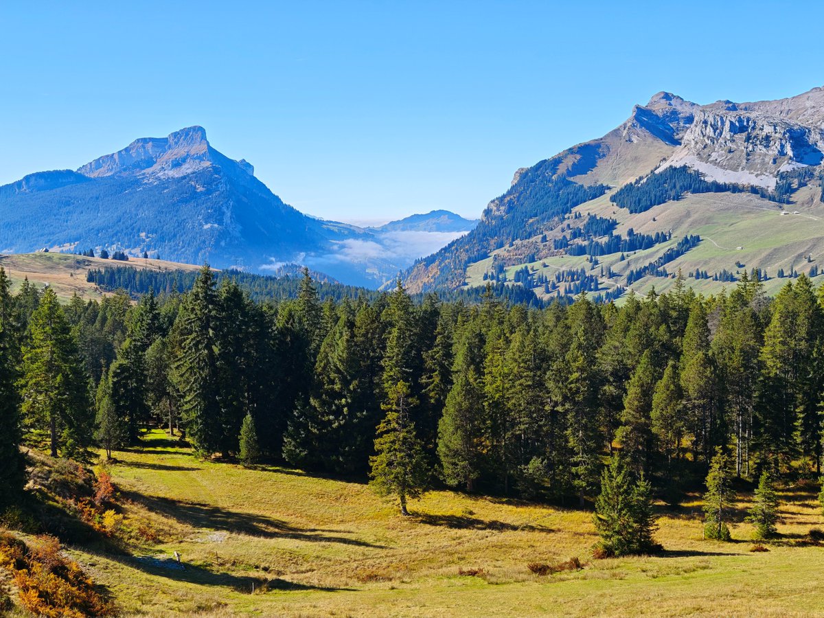 eFlotime's tweet image. Mooraculum Sörenberg. 🤩