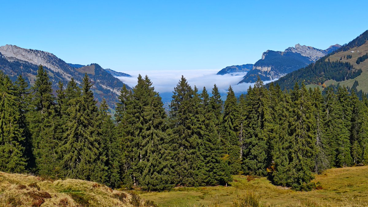 eFlotime's tweet image. Mooraculum Sörenberg. 🤩