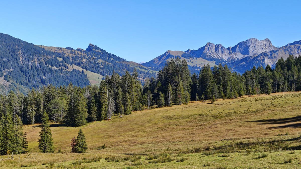 eFlotime's tweet image. Mooraculum Sörenberg. 🤩