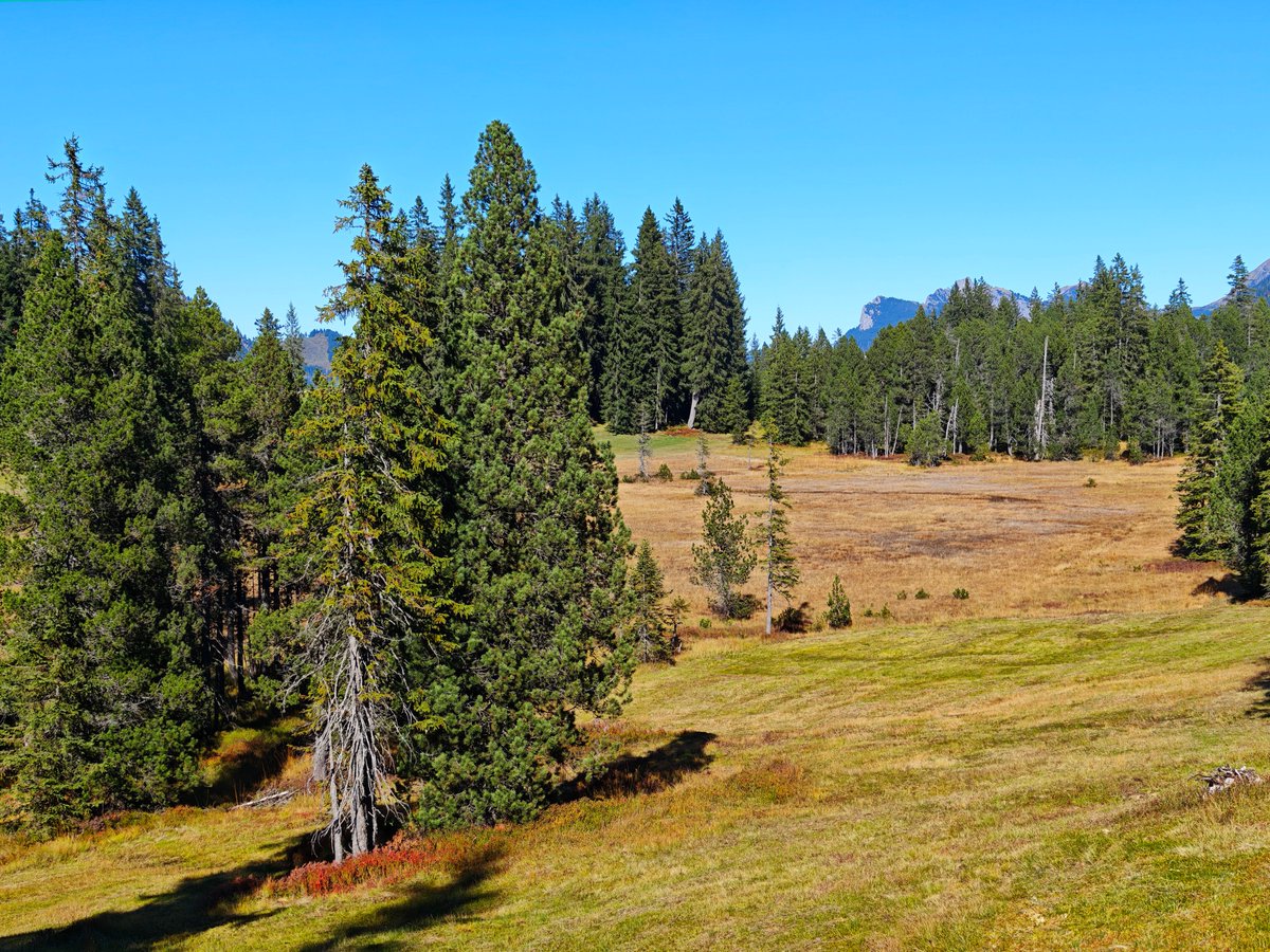 eFlotime's tweet image. Mooraculum Sörenberg. 🤩