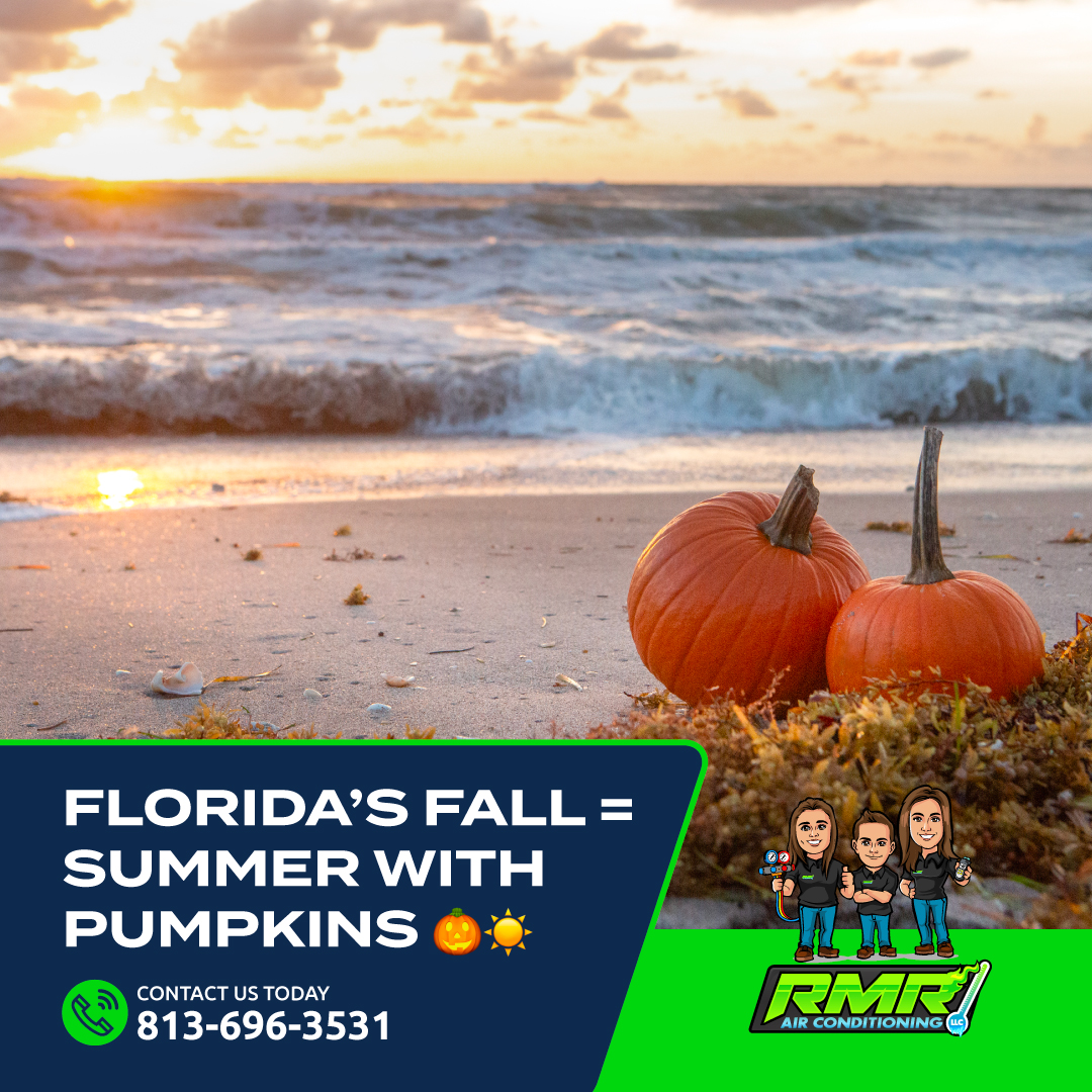 rmracllc's tweet image. Leaves don’t fall here, but your AC still works overtime.
  Keep your system in shape with maintenance or tune-ups so it’s ready for one more round of Florida heat. 🥵
  📞 813-696-3531

rmrairconditioning.com

#FloridaFall #PumpkinSpiceAndIceColdAC