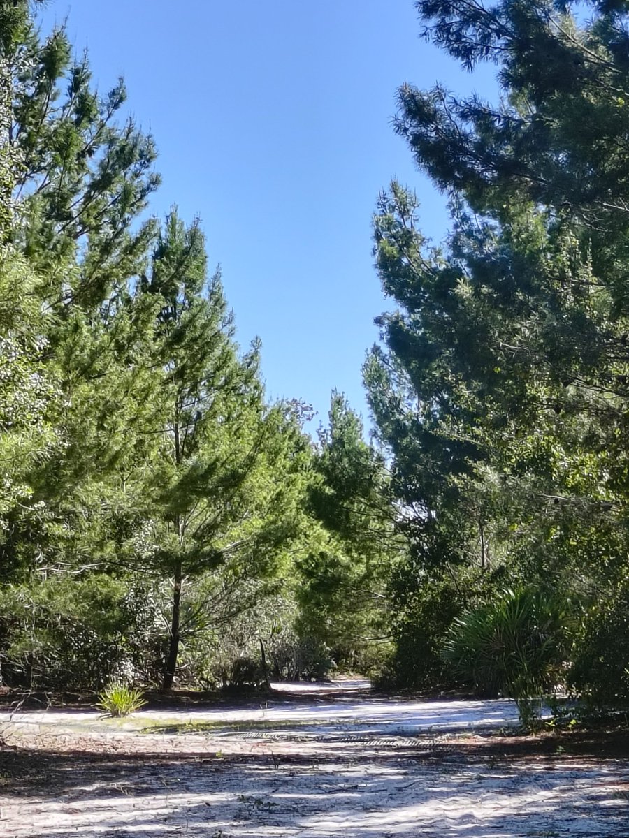 I have construction taking place at my house today. So I'm late to X this morning. 
I hope your morning is off to a fabulous start. 
Have a wonderful Tuesday. ☕ 🌞 🌺