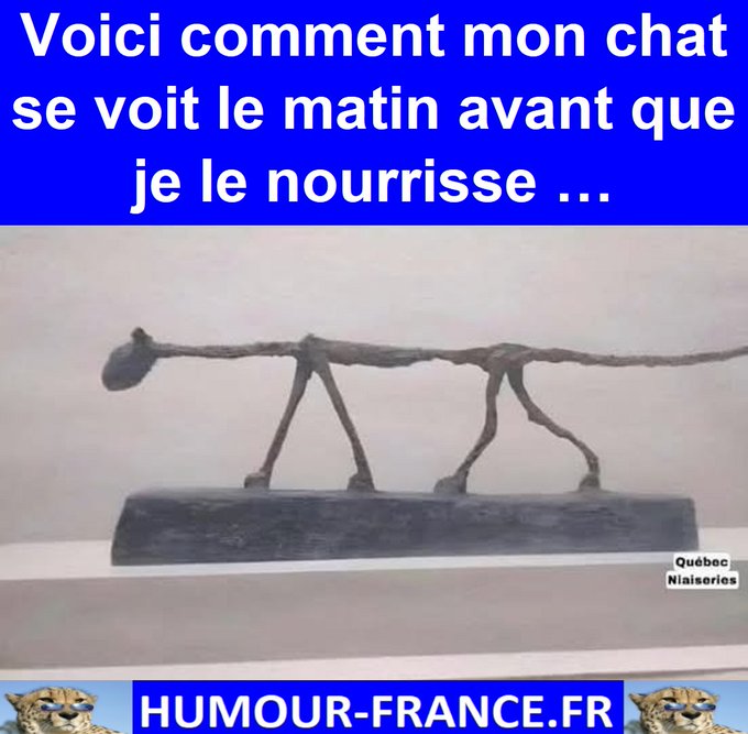 text alternatif