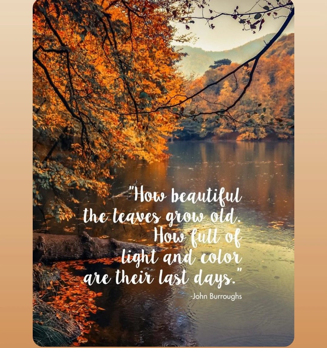 Good Tuesday morning y'all. Fall is here , have a blessed day.