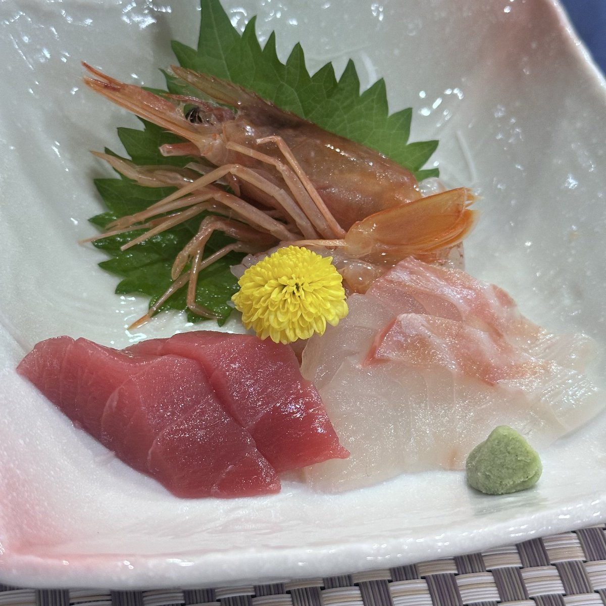 お刺身でTL浄化しとくね！🐟🐟