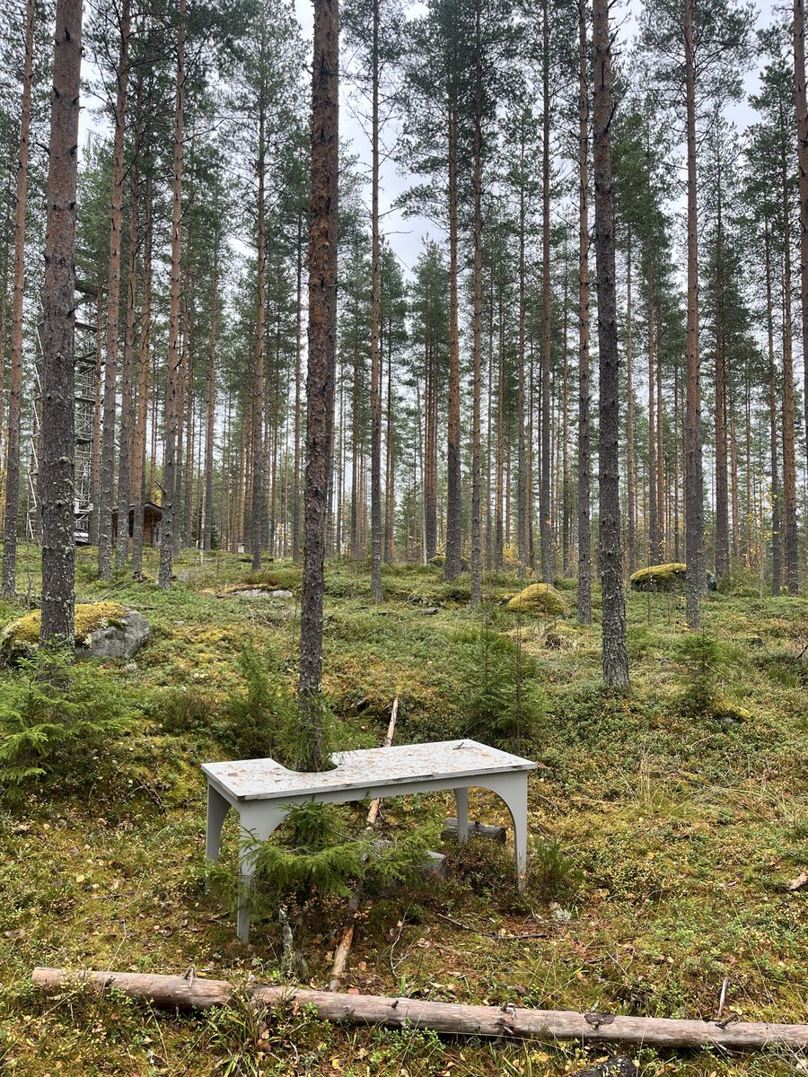 A perfect blend of science art and forest today at the University of Helsinki’s Hyytiälä Research Station 🌲Huge thanks to <a href="/KaarleHameri/">Kaarle Hämeri</a> and the team for the inspiring visit!