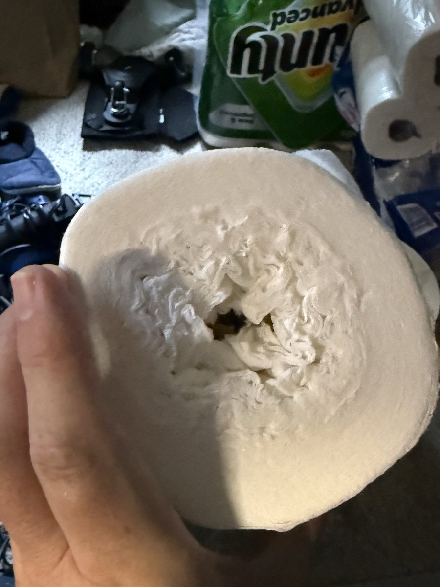 Tim Honl tweet media